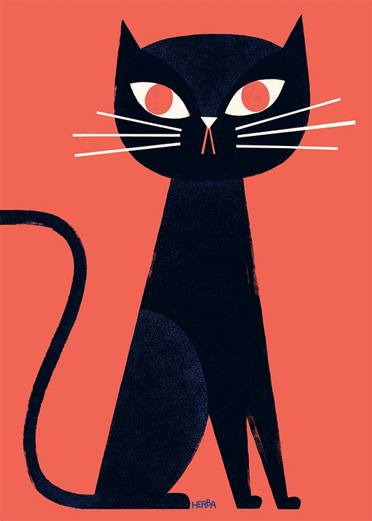 Black cat