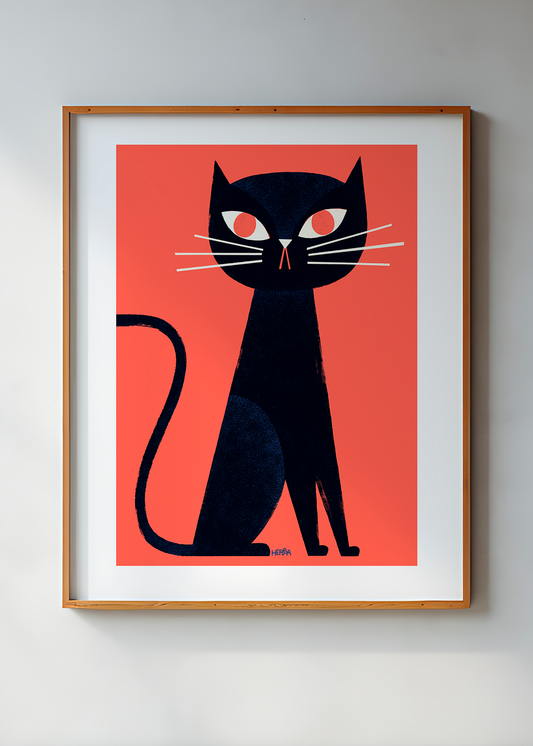 Black cat