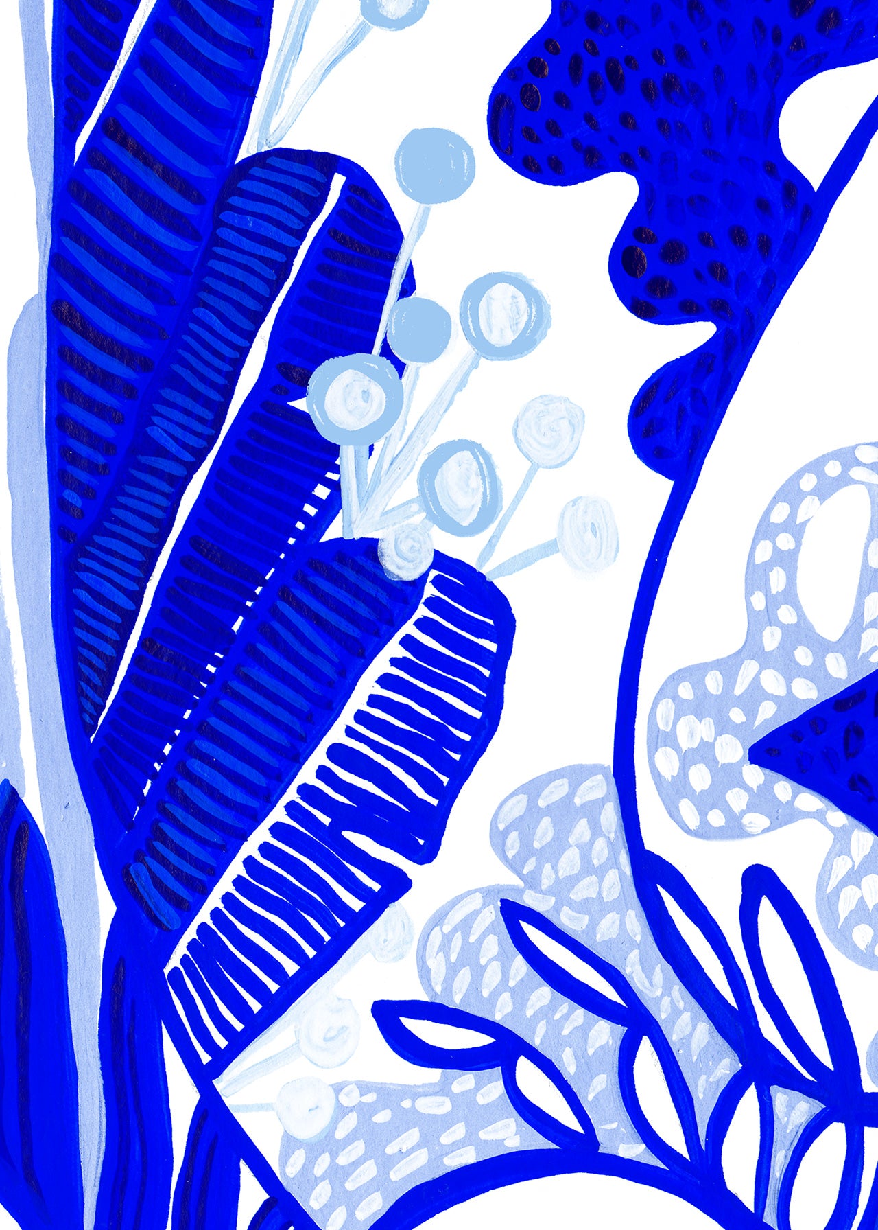 Blue Monstera