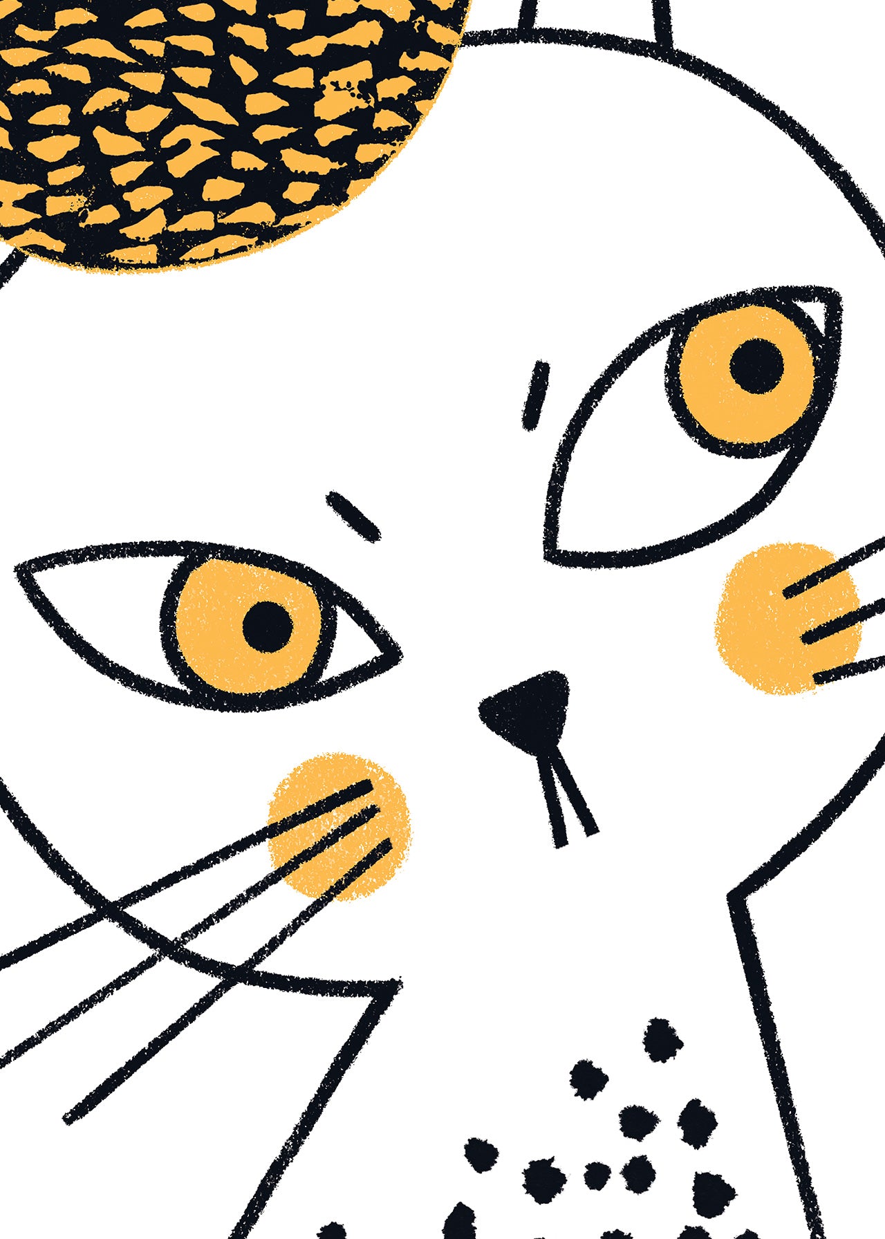 Mysterious cat